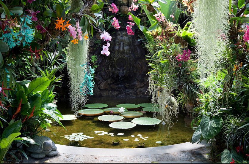 Giardino delle Orchidee Spontanee del Mediterraneo, Ladispoli, Italy, Italy